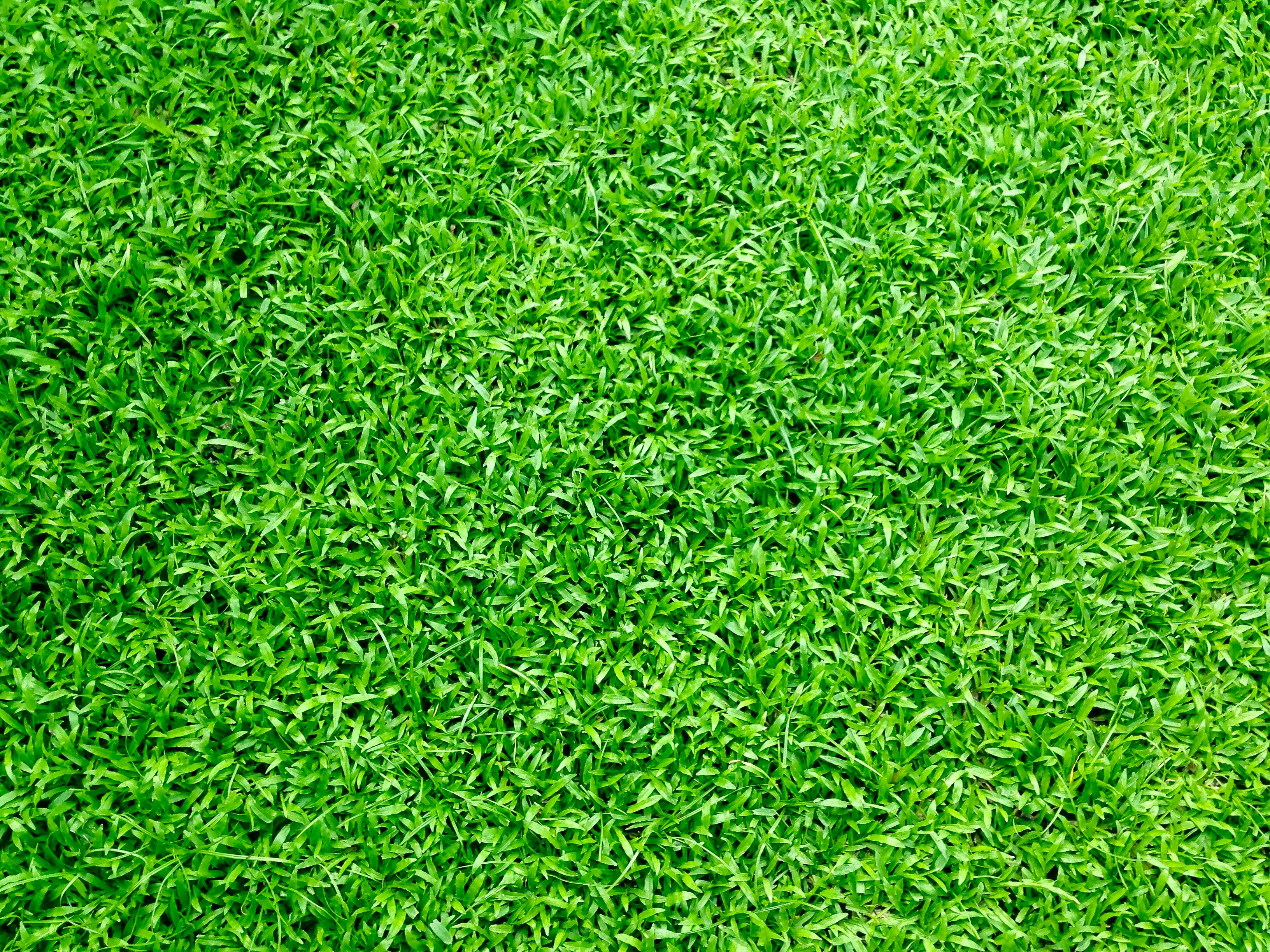GREEN Rights